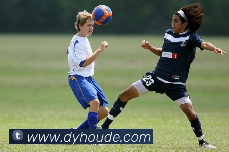 开云体育APP 封面图